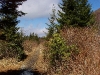 G ) Flat Laurel Creek Trail