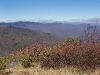 D ) Middle Prong Wilderness from Sam Knob