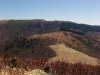 E ) Meadow from Sam Knob Summit