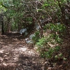 G ) After Shining Rock Gap, Ivestor Meets the Art Loeb Trail