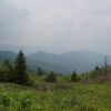 L ) Looking West to the Middle Prong Wilderness From Ivestor Gap