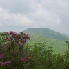 A ) Double-Peaked Sam Knob From the Ivestor Gap Trail