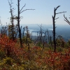 B ) Two Fires In the Last 9 Years Ravaged Shortoff Mountain