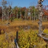 J ) There Is a Marshy Pond On the Shortoff Mountain Plateau