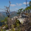 M ) Craggy Trees, Craggy Rocks, Craggy Mountains
