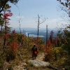 O ) The Shortoff Mountain Trail On the Way Down