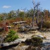 H ) The Trail on Top of Shortoff Mountain