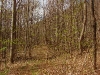 C ) Pilot Cove Trail, Higher