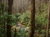 L ) Slate Rock Creek Continues Past the Forest Road