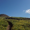 E ) Alpine Tundra on the Approach to the False Summit