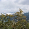 B ) From Snowball Mountain, the Black Mountains in the Far Distance