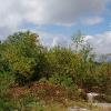 H ) The Four Pillars From the Old Fire Tower Still Remain