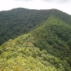 D ) From Hawkbill Rock, The Ridge We Came Down From Snowball Mountain