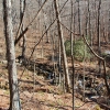 C ) The Trail Follows the Creek for Most of the Distance