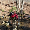 B ) The Trail Crosses Thompson Creek a Few Times