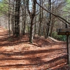 B ) Trail Junction - Stone Mountain and Switchback