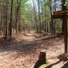 K ) Trail Junction - Tarklin Branch with Wintergreen Falls