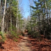 A ) The Rocky Ridge Trail Is Sandy