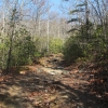 C ) Stone Mountain Trail Is More Rutted and Rocky