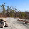 F ) A Cairn Marks the Summit of Stone Mountain