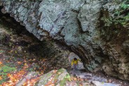 Arch Rock