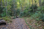 Foot bridges Alum Creek