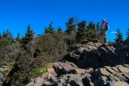 High on LeConte