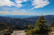 East from Myrtle Point