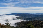 North from Myrtle Point