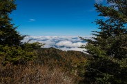West from Myrtle Point