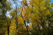 Autumn's finest