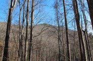 Tryon Mountain