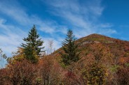 Sam Knob from Flat Laurel
