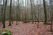 Campsite