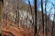 Rainbow Falls Trail