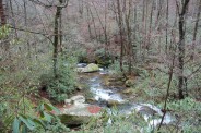 Saluda River