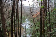 Saluda River upstream