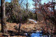 Pilot Rock Trail junction