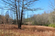 Conservation Road