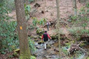 Creek crossing
