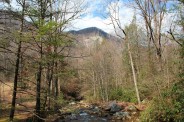 Saluda River at the trail end