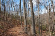 Hospital Rock Trail