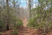 Hospital Rock Trail summit