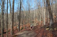 Falls Creek Trail