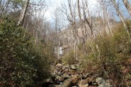 Trailside waterfall