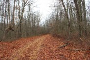 Blackrock Trail