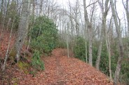 Turkey Knob Trail