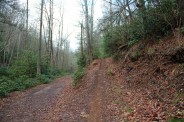 Fletcher Creek trailhead
