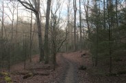 Fletcher Creek Trail