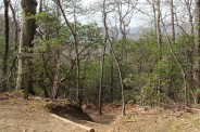 Trail junction